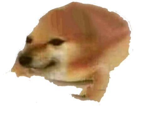 Scrotumfart Rdogelore Ironic Doge Memes Know Your Meme