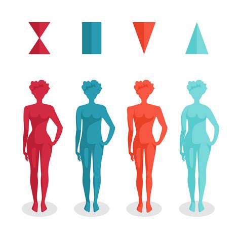 The Four Basic Female Body Shapes The Health Focus By Quantum Healing Institute
