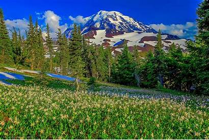 National Parks Park Rainier Mount Wallpapers Desktop