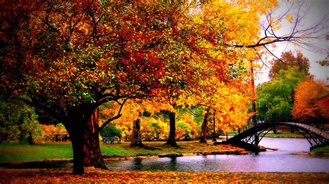 Autumn Leaves Retina Macbook Pro Wallpaper Jose Pinterest 1920x1080