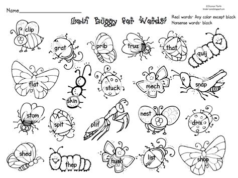 Parts Of An Insect Coloring Page