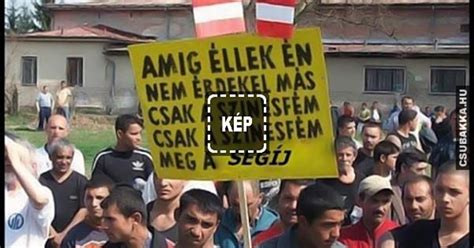 Egyik hazugság követi a másikat, mígnem egy nagy közös családi utazáson találják magukat hawaiin. Kellék Feleség Videa - Holló szívatja a macskát