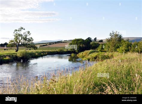 River Eden Great Ormside Cumbria Stock Photo Alamy