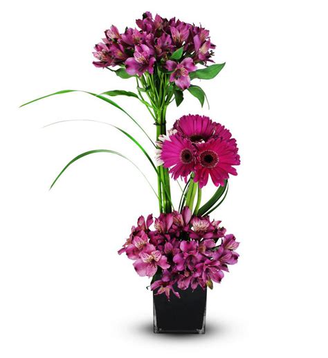 Wir verwenden cookies und ähnliche tools, die erforderlich sind, um ihnen einkäufe zu ermöglichen, ihr einkaufserlebnis zu verbessern und unsere dienste bereitzustellen. Alstroemeria Topiary | Avas Flowers