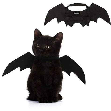35 Best Cat Costumes For Your Feline Friend This Halloween Pet
