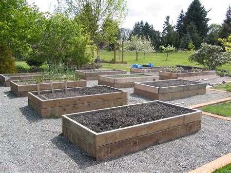The Tacoma Kitchen Garden Journal Raised Vegetable Beds