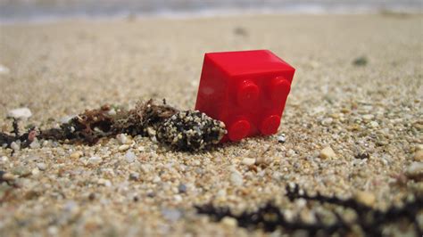 12 Weird Things That Have Washed Ashore | Mental Floss