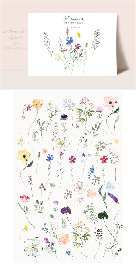 Summer Wildflowers Watercolor Clipart By Labfcreations Thehungryjpeg