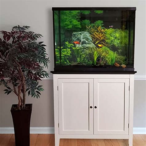 10 Best Fish For 37 Gallon Tank Of 2022 Review And Buying Guide