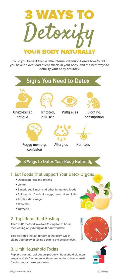 7 Major Signs Your Body Needs A Detox Recipe Healthy Detox Cleanse