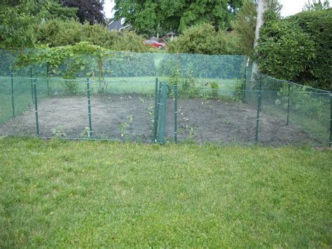 Cheap Vegetable Garden Fence Ideas Hawk Haven