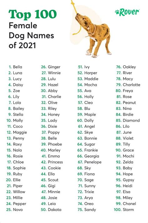 Top 100 Most Popular Dog Names In 2022 Female Dog Names