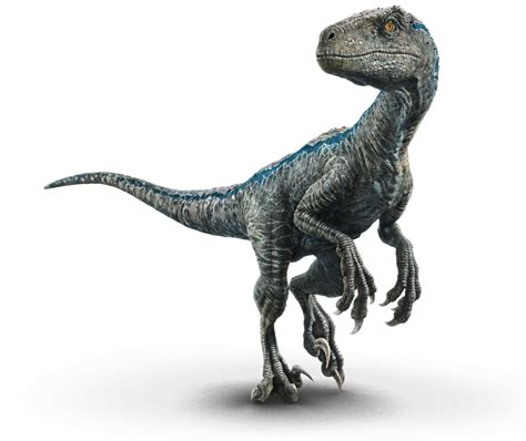 Velociraptor Blue Dinossaurs Dinossauros Arte Com Tema De Dinossauro