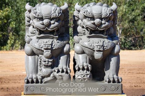 Sold Stone Foo Dogs Or Shishi Guardian Lions Statues Hand Carved