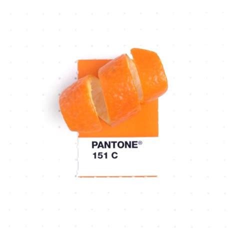 Pantone 151 Color Match Orange Peel An Image From My Book