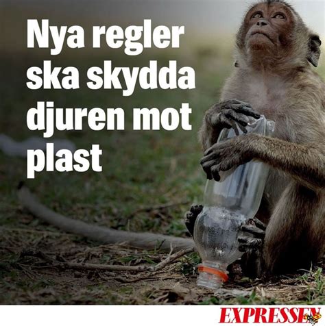 He asks what the country has got right in its response to. Expressen - Home | Facebook