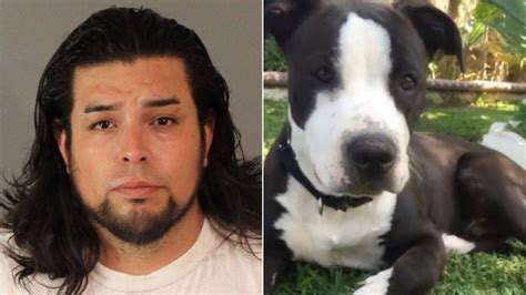 Riverside Man Slashes Throat Of Neighbors Pit Bull After It Attacked