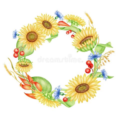 Sunflower Watercolor Wreath Frame Stock Illustrations 755 Sunflower