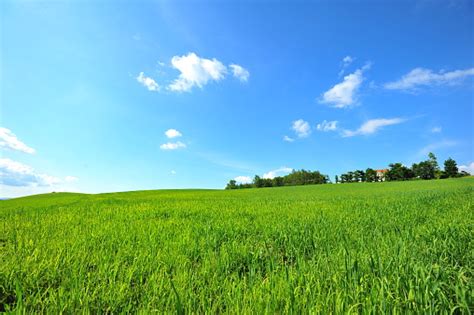 Green Plantation Fields In Biei Hokkaido Japan Stock Photo Download