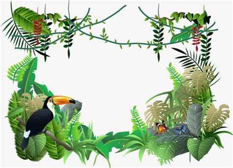 Amazon Jungle Clipart 10 Free Cliparts Download Images On Clipground 2024