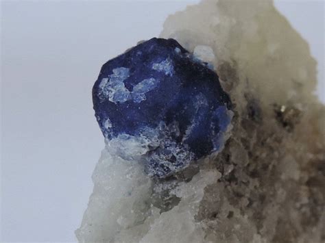Cristaux De Lazurite Lapis Lazuli Sur Matrice De Calcite Blanche