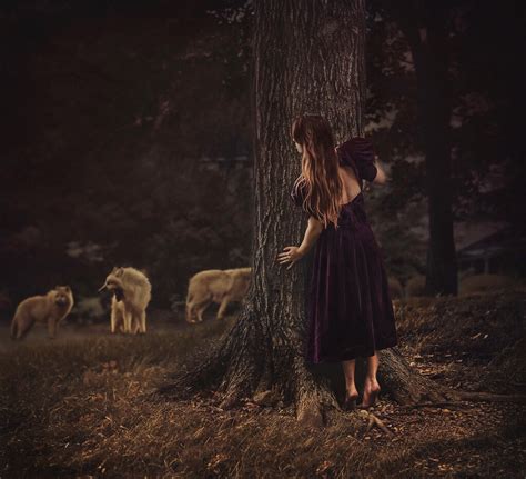Dark Fairytale Forest And Girl Image 30274 On