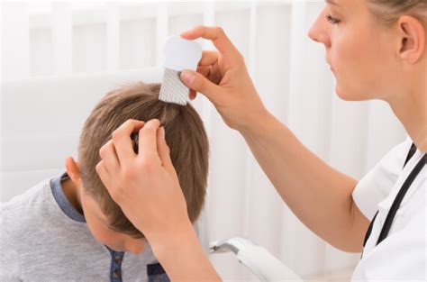 Lice Screening Services Licedoctors