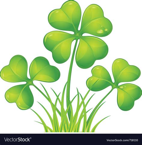 Four Leaf Clover Royalty Free Vector Image Vectorstock