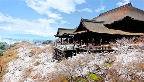 20 Best Kyoto Cherry Blossom Spots Sakura Hanami Top Tips