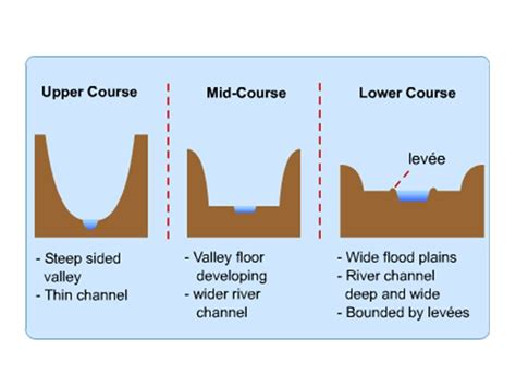 River Features And Profile Diagram Quizlet