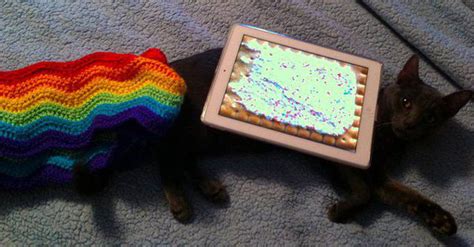 Rip Marty — The Inspiration For Nyan Cat