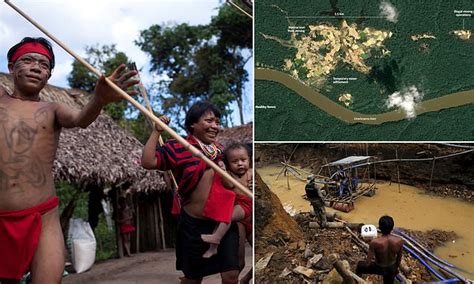 Illegal Mining Spreads Covid 19 To Amazons Last Major Isolated Tribe