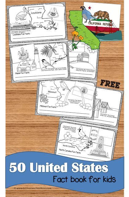Free United States Fact Book Kindergarten Social Studies Homeschool