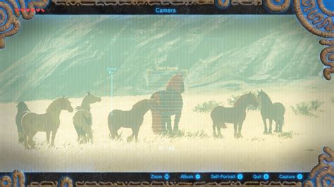 Zelda Breath Of The Wild Giant Horse Guide Where To Find Tame The Images