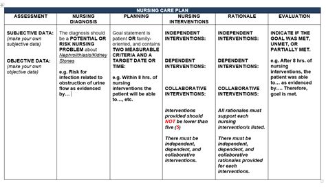 Make A Nursing Care Plan Table About Risk For Infection Related Toa