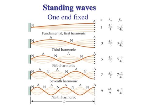 Ppt Waves On A String Powerpoint Presentation Free Download Id6912128