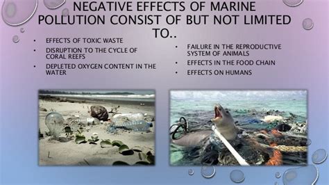 Marine Pollution Ppt