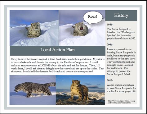 Help Save The Snow Leopard Brochure