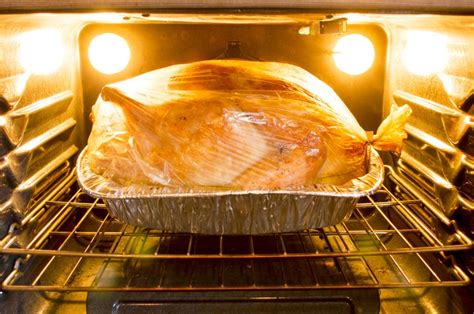 How to Cook a 20-Pound Turkey in a Bag | Turkey in a bag, Oven chicken 
