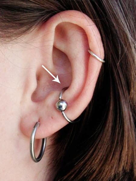 Conch piercings have become popular among young women in recent decades as part of a trend for multiple ear piercings. Woman with orbital conch piercing, lobe piercing, and ...