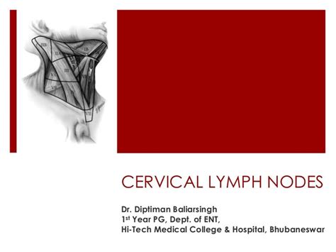 Cervical Lymph Nodes