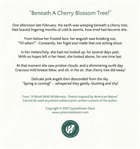 Beneath A Cherry Blossom Tree A Poem And An Illustration