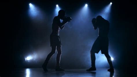 Two Young Sportsman Are Boxing In The Studio Stock Footage Videohive