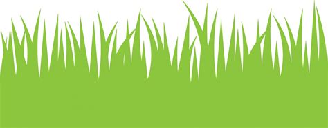 Grass Vector Png