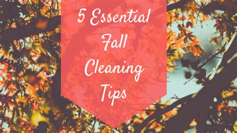 Tips For Cleaning This Fall 5 Essential Tips For Cleaning This Fall
