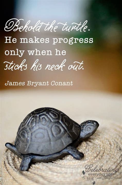 {be Inspired} Behold The Turtle Quote Celebrating Everyday Life With Jennifer Carroll Turtle