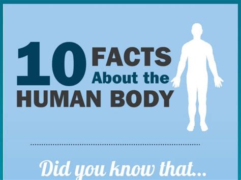 10 Facts About The Human Body