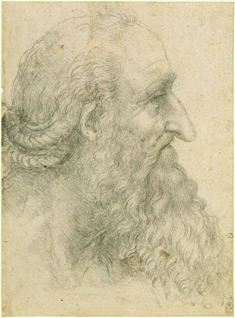 The Head Of An Old Bearded Man In Profile Leonardo Da Vinci Vinci 1452