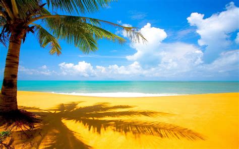 Yellow Beach Wallpapers Top Free Yellow Beach Backgrounds