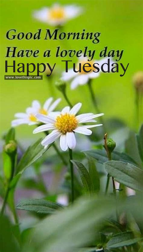 Good Morning Have A Lovely Day Happy Tuesday Pictures Photos And